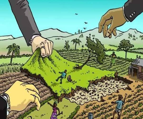 Bahaya Laten Mafia Tanah Dibalik Perpres 78 Tahun 2023
