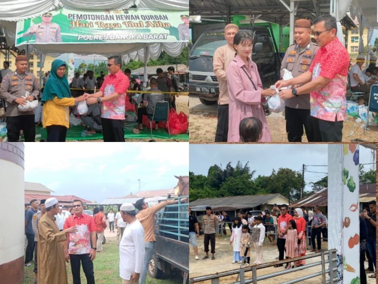 Polres Bangka Barat : Kurban 12 ekor Sapi Dan 5 Ekor Kambing