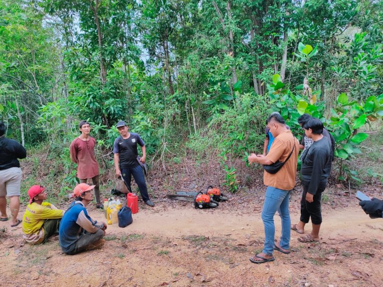Sat Reskrim Polres Babar Amankan Pelaku Penebang Liar Di Tahura
