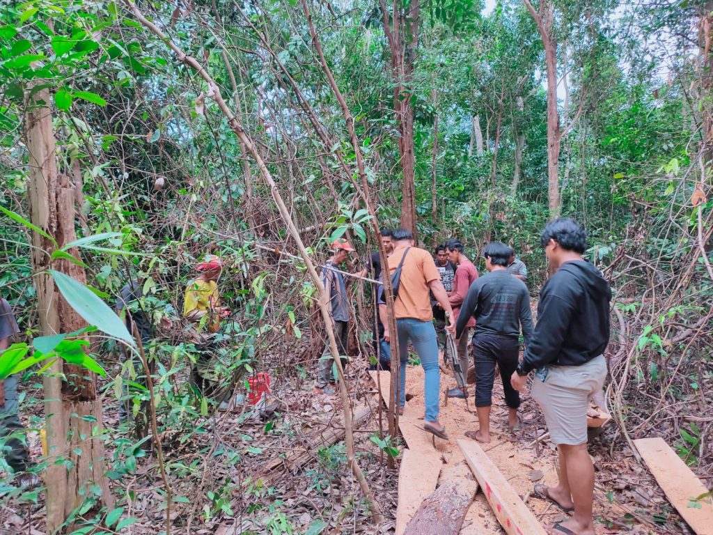 Penangkapan Penebang Liar di Tahura