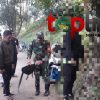 Polsek cibungbulang investigasi