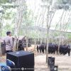 Dankor Brimob Polri Tekankan Kesiapan Pasukan di IKN