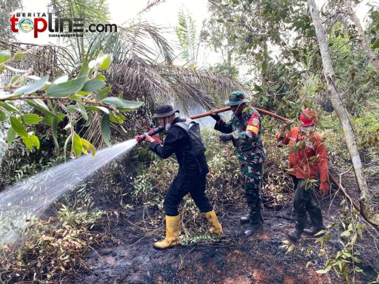 Batalyon A Pelopor Brimob Sumsel Bertindak Cepat, Tangani Karhutla Di Sri Kembang
