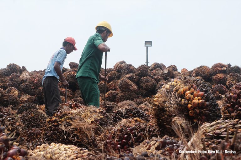 Pemerintah Dukung Peningkatan Ekspor dan Hilirisasi Industri Kelapa Sawit Berkelanjutan