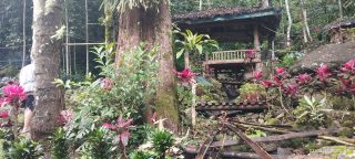 Kampung senyum