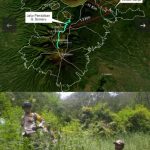Terungkap! Ladang Ganja Di Gunung Bromo, Klarifikasi KLHK atas Isu Larangan Drone dan Penutupan Wisata