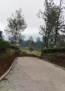 Telaga saat
