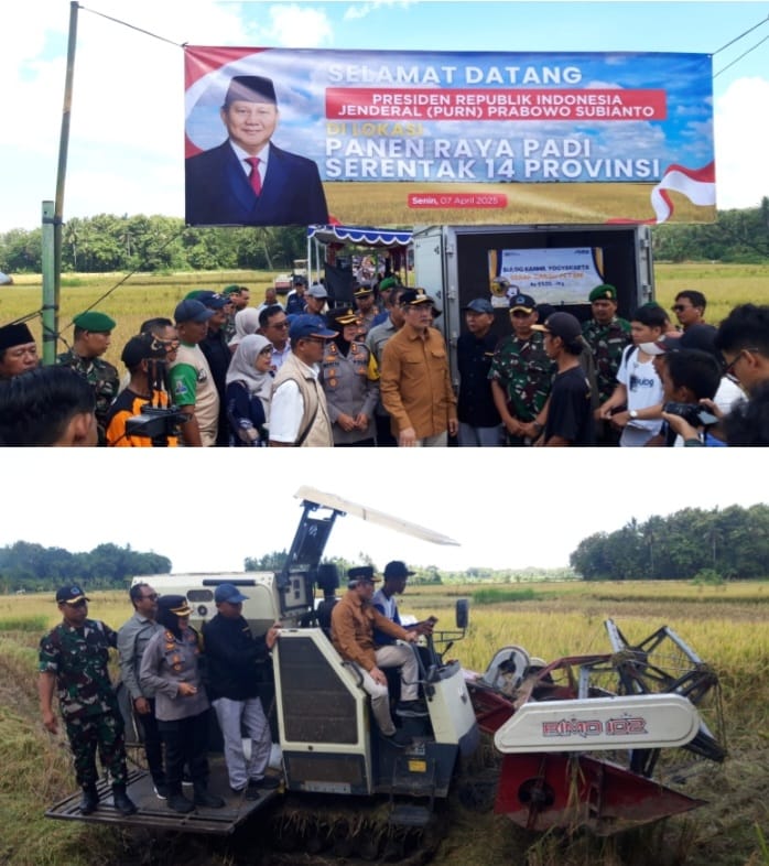 Panen Raya Bantul Bukti Ketahanan Pangan Nasional