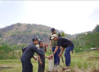 Patok