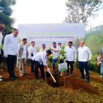 Program Satu Juta Pohon Diluncurkan, Pengamat Ragukan Efektivitas