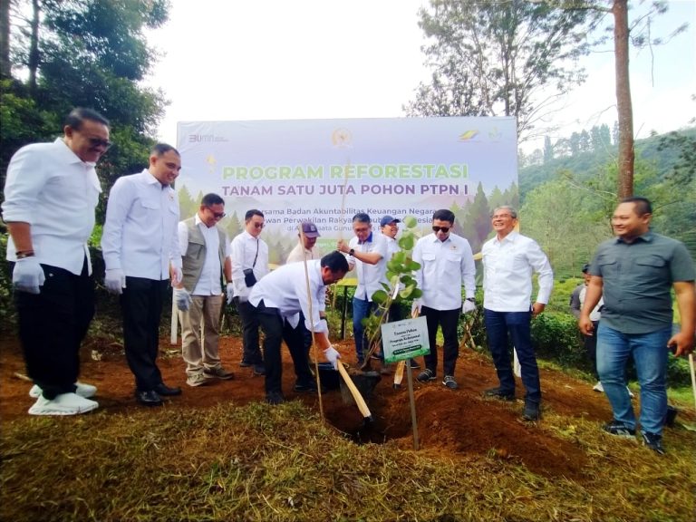 Program Satu Juta Pohon Diluncurkan, Pengamat Ragukan Efektivitas