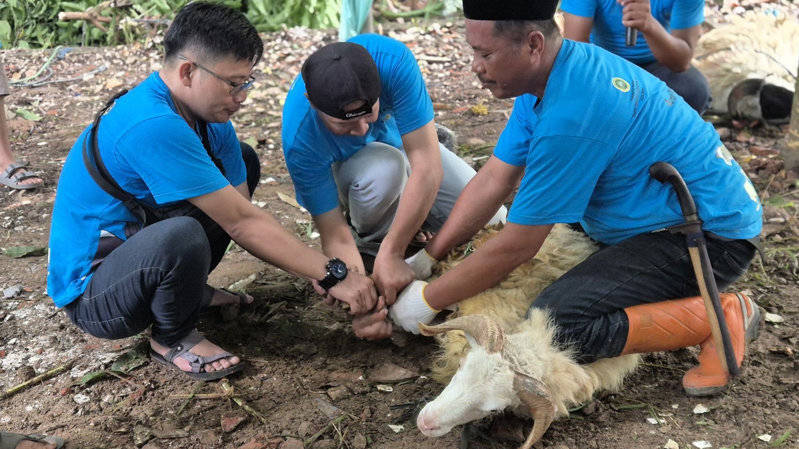 Qurban