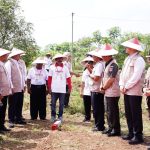 Gemapatas