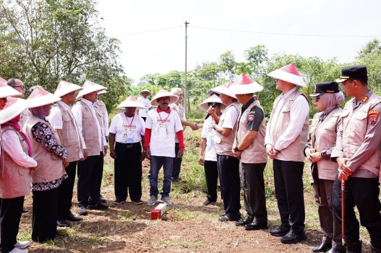 Gemapatas