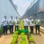 Rutan Depok Panen Sayur, Bukti Nyata Dukungan terhadap Ketahanan Pangan Nasional