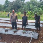 Bhabinkamtibmas Polsek Rumpin Sambang Warga, Sampaikan Himbauan Saat Monitoring Kelompok Tani