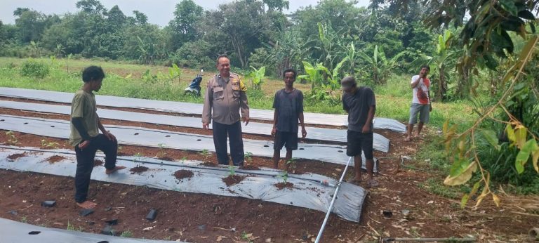 Bhabinkamtibmas Polsek Rumpin Sambang Warga, Sampaikan Himbauan Saat Monitoring Kelompok Tani