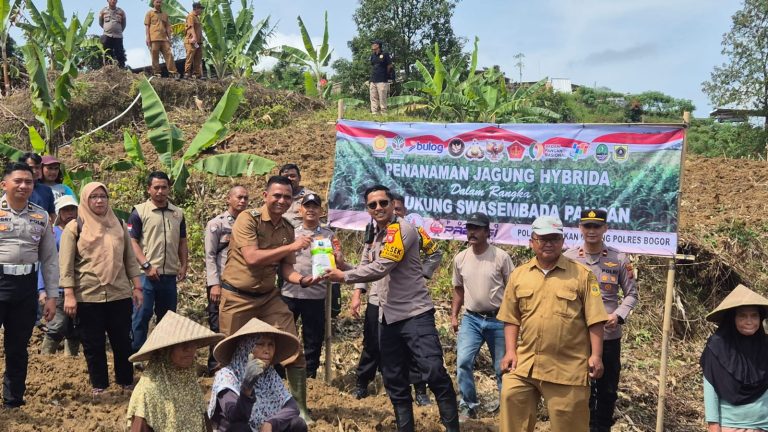 Polsek Babakan Madang Tanam Jagung Hibrida Dukung Program Ketahanan Pangan